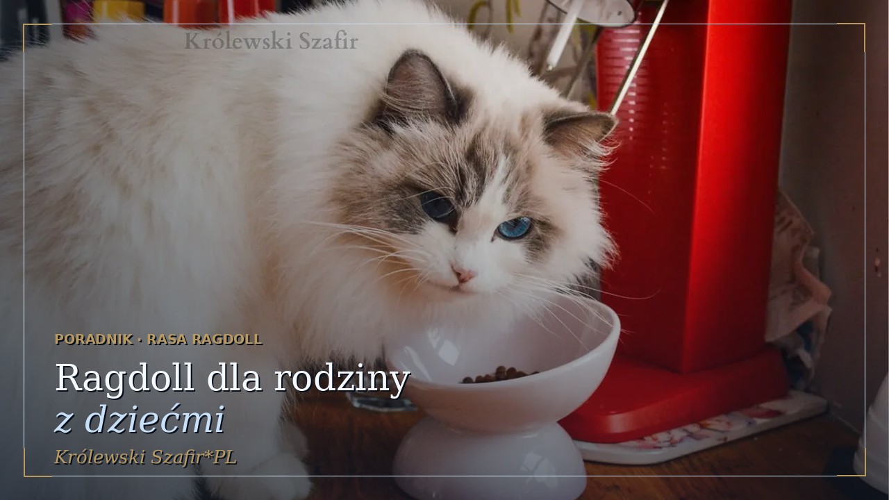 Czy kot Ragdoll nadaje się dla rodziny z dziećmi?